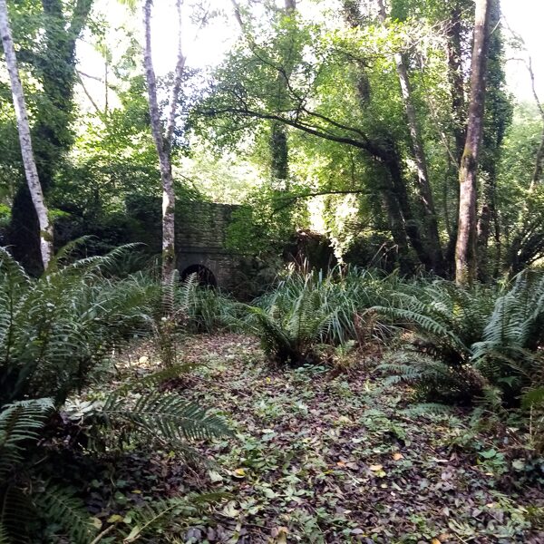 Plouezec (17 km) : pont romain