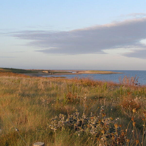 Pleubian (32 km) : Sillon de Talbert