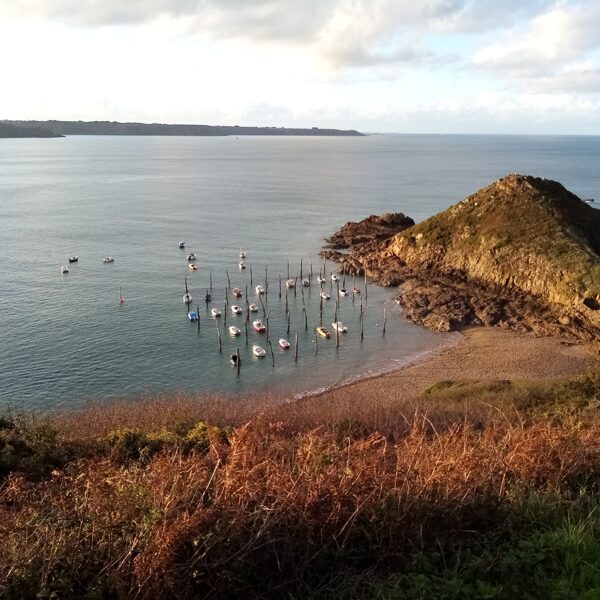 Plouha (21 km) : Gwin Zegal