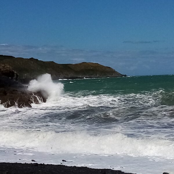 Plouezec (20 km) : Pors Pin