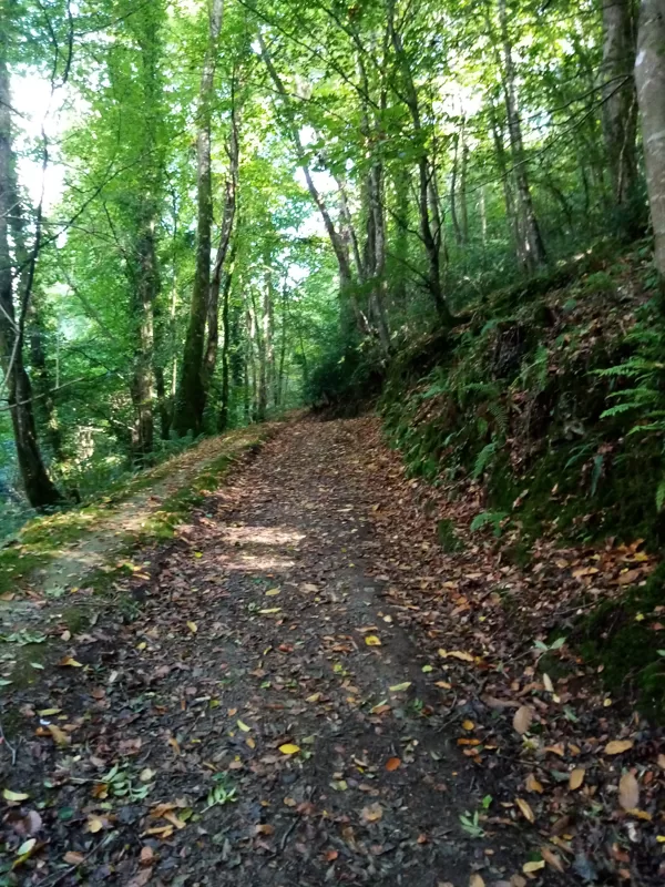 Plouezec (17 km) : chemin des routoirs à lin