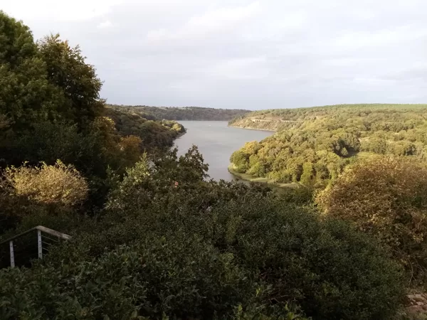 Plourivo (15 km) : forêt de Penhoat