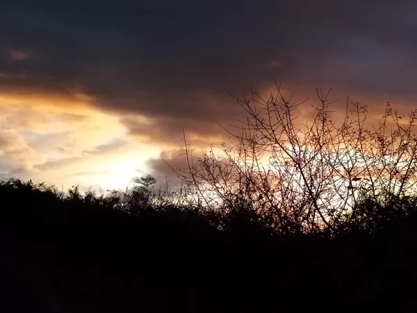 Lumière d'hiver