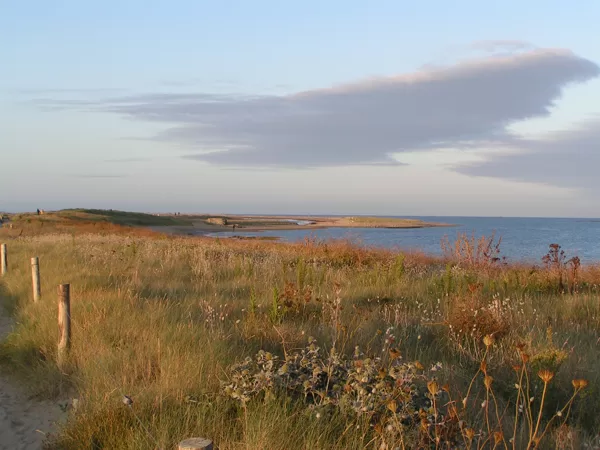 Pleubian (32 km) : Sillon de Talbert