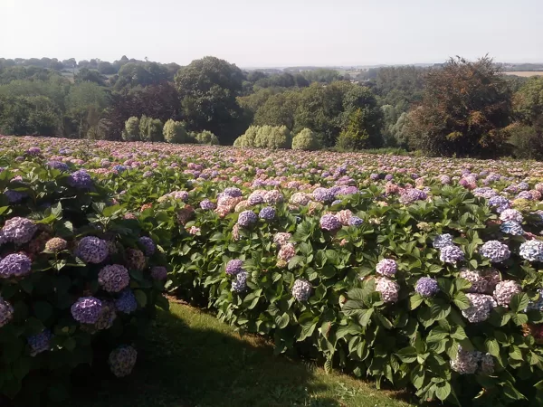 Pommerit-Jaudy (18 km) : Jardin Hortense