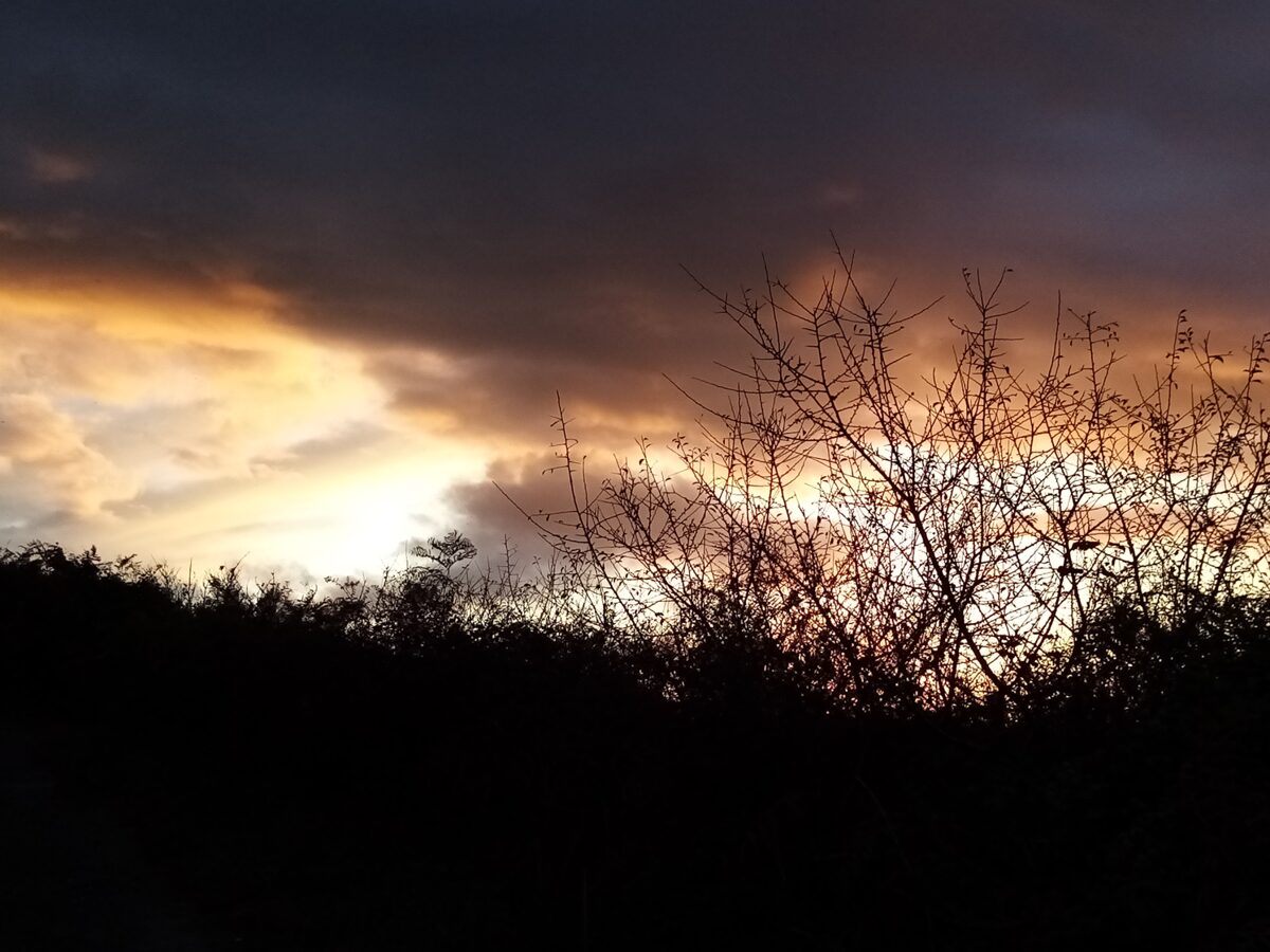 Lumiere_du_soir.jpg