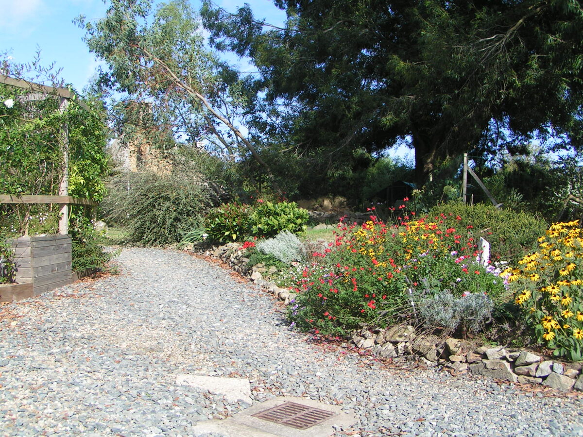 PICT0025.JPG